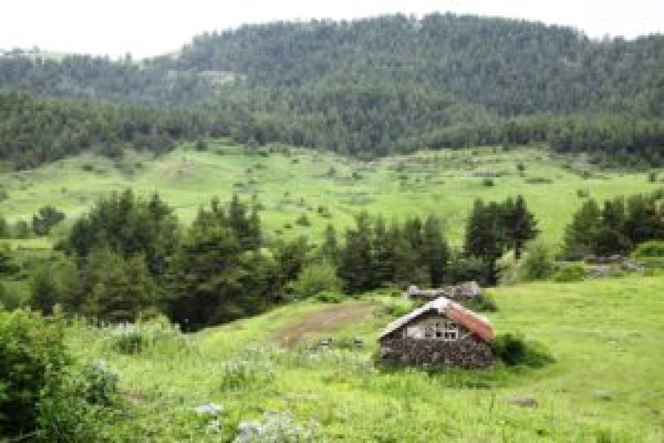 Çubuk Belediyesi
