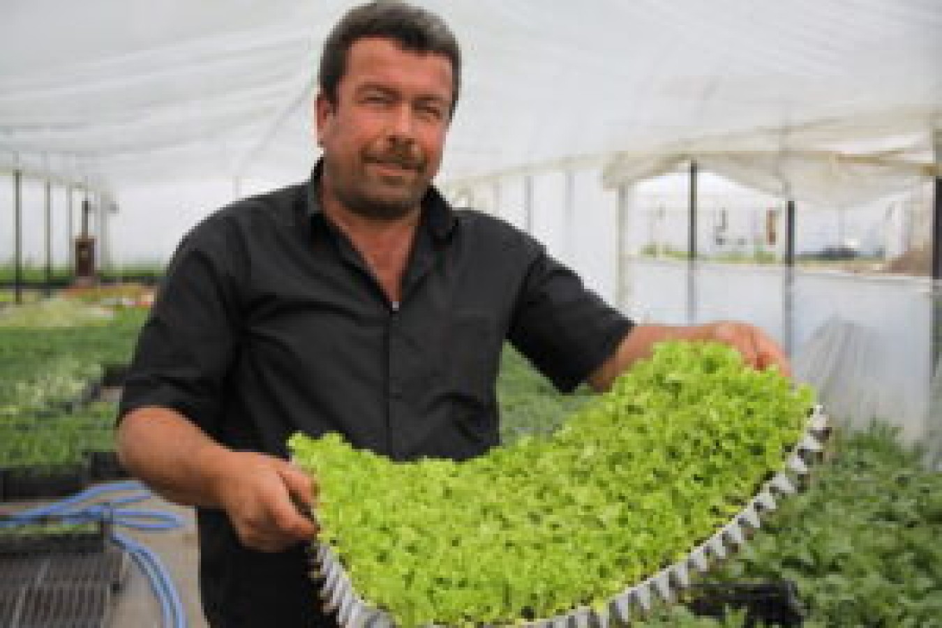 Çubuk Belediyesi