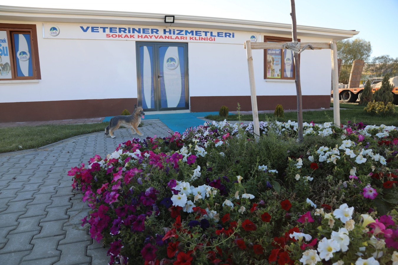 SOKAK HAYVANLARI KLİNİĞİ