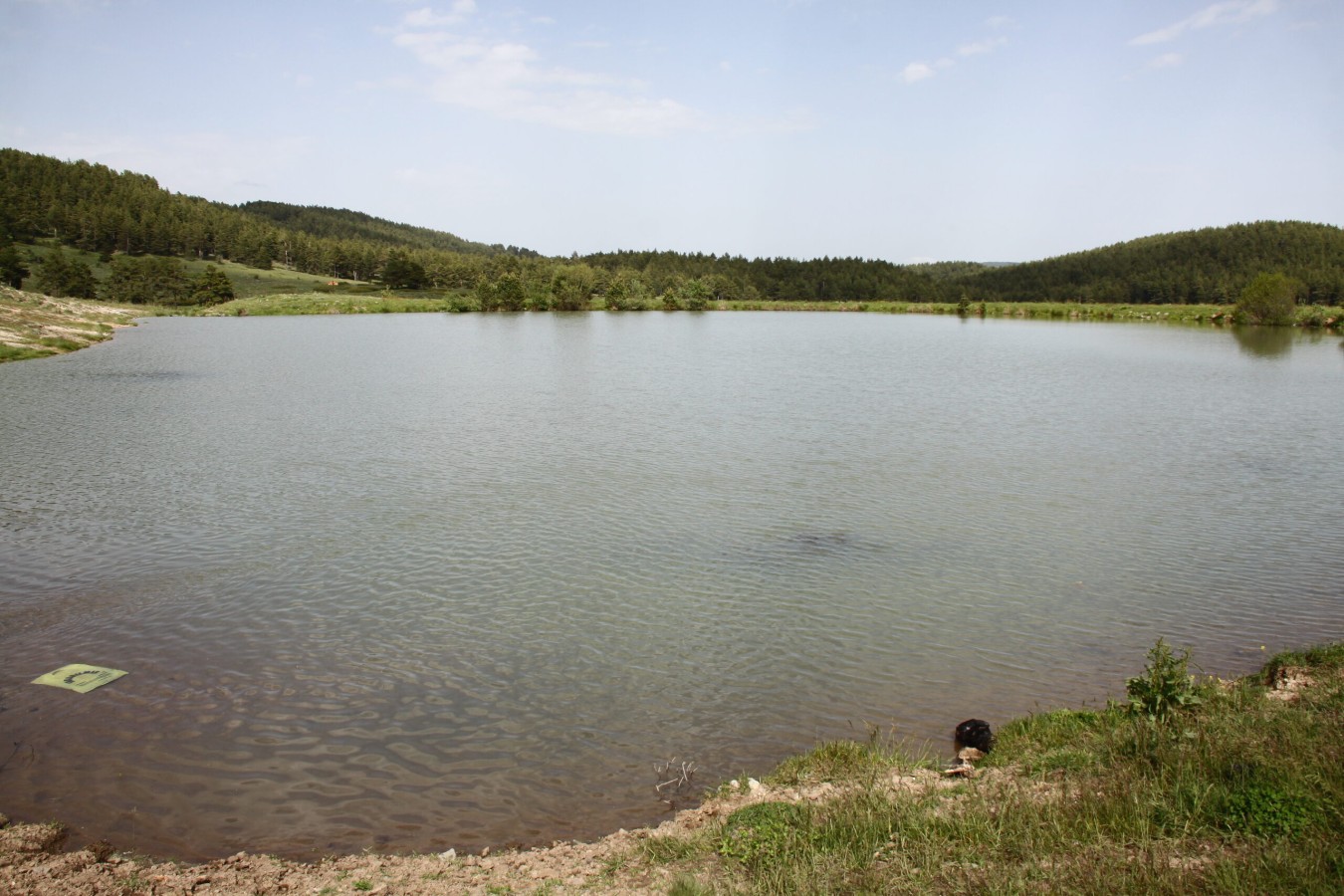 Alveren Yaylası